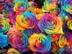 rainbow colored roses are arranged in a bouquet