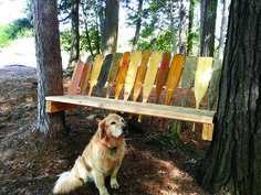 a golden retriever sitting in front of a wooden bench with colorful slats on it