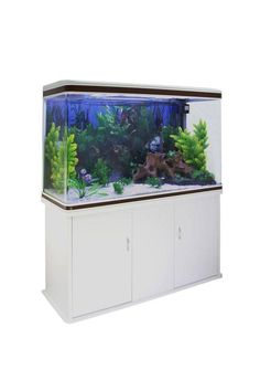 an aquarium with white cabinets and green plants