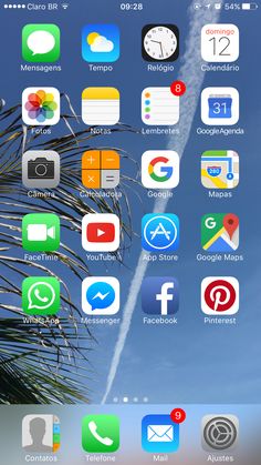 the home screen of an iphone with various icons on it and palm tree in the background