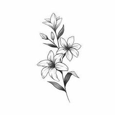 Jasmine Flower Tattoo, Stargazer Lily Tattoo, Jasmine Tattoo, Lilies Drawing, Lily Flower Tattoos, Vine Tattoos, Lily Tattoo, Floral Tattoo Design, Tattoo Style Drawings