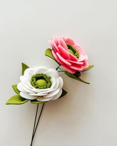 two pink and white flowers with green leaves on the top one is larger than the other