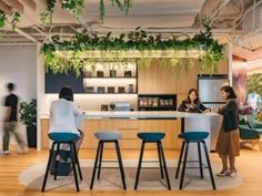 two women are standing at the counter in an office with plants hanging from the ceiling