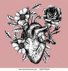 the human heart with flowers and leaves on a pink background hand drawn illustration in vintage engraving style