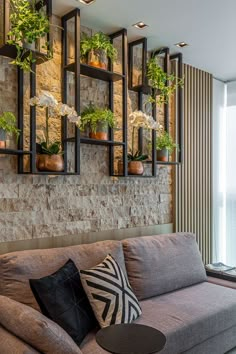 a living room filled with furniture and lots of plants on the wall above it's windows