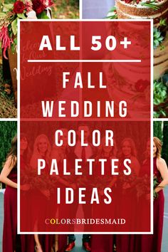 red and gold wedding color palettes with text overlay that reads all 50 + fall wedding color palettes ideas