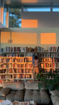 a person standing on top of a couch in front of a book shelf filled with books