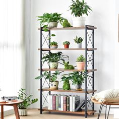 a book shelf filled with potted plants next to a chair and table in a living room