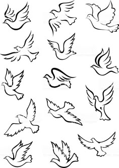 black and white doves flying in the air with spread wings, set of nine