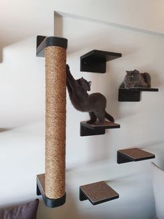 two cats are sitting on top of the cat tree and one is climbing up it