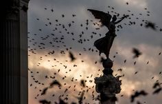 a flock of birds flying over a statue on top of a building with a clock tower in the background