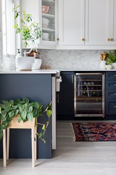 a kitchen with white cabinets and blue countertops has a plant on the island in front of the stove