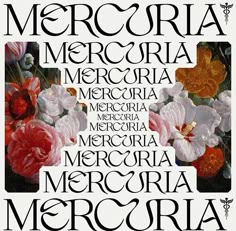 an image of a poster with flowers in the middle and words below it that say, mercora mercora mercora mercora