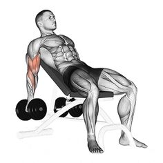 a man is doing a bench press with dumbbells in front of his back