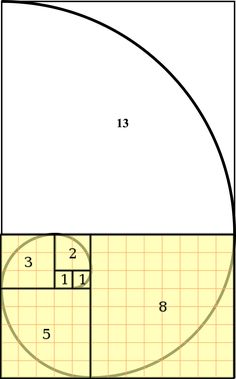 the golden section of a basketball court is shown in this image, with an area marked for