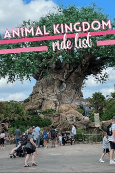 an animal kingdom ride list with people walking around