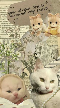 a collage with cats and flowers on it