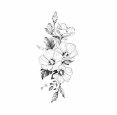 Rose Of Sharon Drawing, Rose Of Sharon Tattoo, Gladiolus Flower Tattoos, Harmony Tattoo, Gladiolus Tattoo, Water Lily Tattoos, Hollyhocks Flowers, Gladiolus Flower