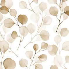 a white background with brown leaves on it