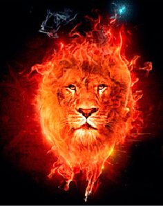 an image of a lion in the middle of fire and stars on it's face