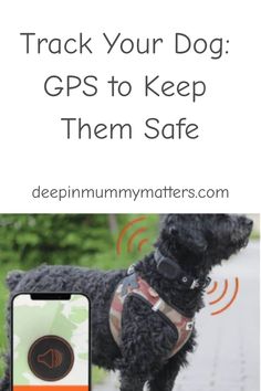 a black dog wearing a harness with the text track your dog gps to keep them safe