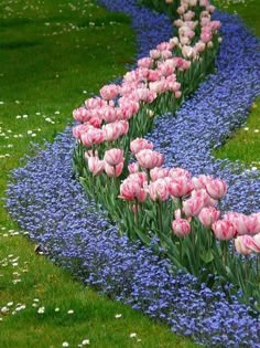 the words bon dua are in front of tulips and bluebells