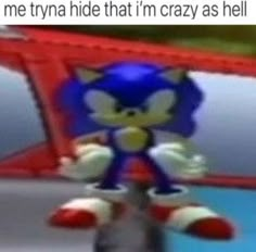 an animated image of a sonic the hedge character with caption that reads, me trying to hide that i'm crazy as hell