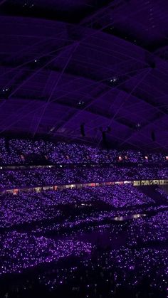 a large crowd of people at a concert with purple lights on the ceiling and in the stands