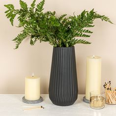 there is a plant in a vase next to two candles and matches on the table