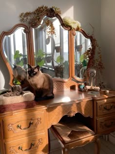 a cat sitting on top of a wooden desk next to a mirror and dresser with drawers