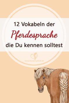 a horse with braids on it's back and the words 12 vokaben der