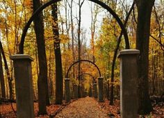 an arch in the middle of a forest with leaves on the ground and trees around it