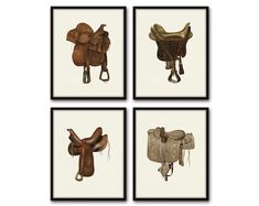 four framed pictures of saddles and bridles