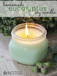 a candle sitting on top of a wooden table next to green plants and leaves with the words homemade eucalyptusplus soy candle