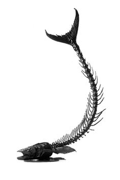 a black and white photo of a fish skeleton on a white background, with the tail curled up