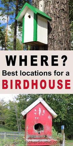 a bird house with the words where? best locations for a birdhouse