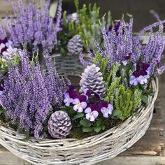 a basket filled with purple flowers and pine cones