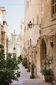 an alley way with potted plants on either side and stone buildings in the background