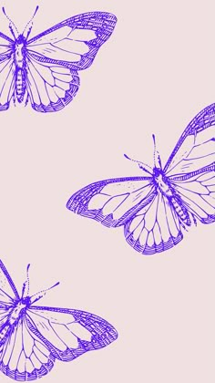 two butterflies flying in the air with one wing extended and another wing folded back to the side