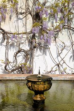 a bird bath sitting on top of a pond next to a tree with purple flowers