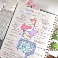 an open notebook with diagram of the human body and organ systems on top of it