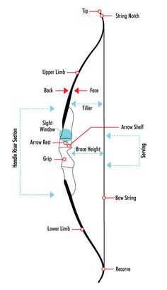 an arrow is shown with arrows pointing to the left and right directions for different types of bow