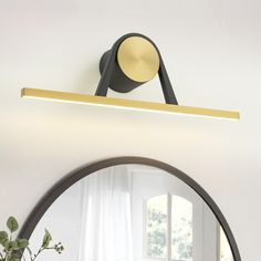 a bathroom light that is on the wall above a mirror with a potted plant in front of it