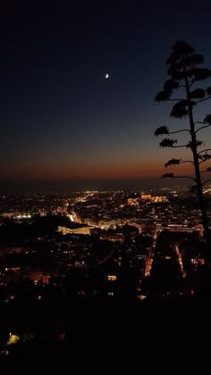 the city lights are lit up at night from atop a hill with trees in front of it