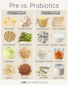 an image of probiotics and prebiotics that are high in protein content