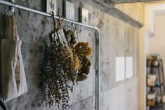 dried flowers hanging on the wall in a room