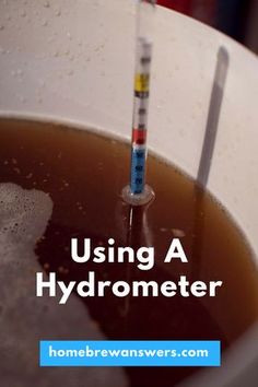 a thermometer sticking out of a bowl of liquid with text overlay reading using a hydrometer