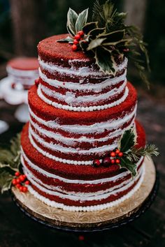 a red and white striped cake with holly on top