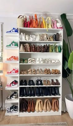 a white shelf filled with lots of shoes