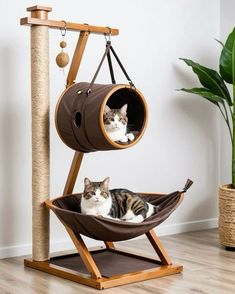 a cat laying in a hammock bed on the floor next to a potted plant